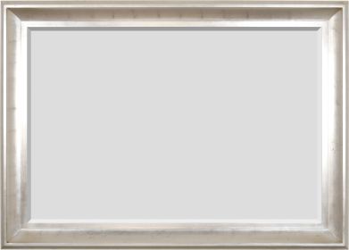 The Sterling Mirror 48X72 Silver with Champagne Wash