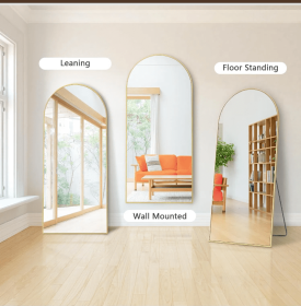 Dolonm 64x21 Inch Arch Full Length Mirror, Aluminum Alloy Frame Floor Mirror,